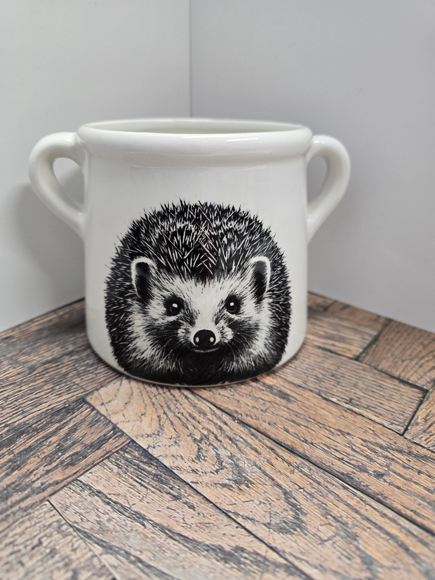 Hedgehog Ceramic Pot