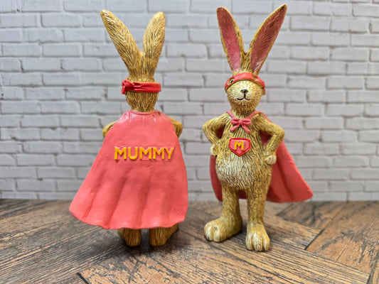 Jasper Rabbit Super Mummy