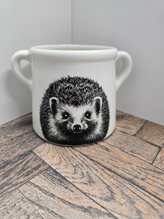 Hedgehog Ceramic Pot